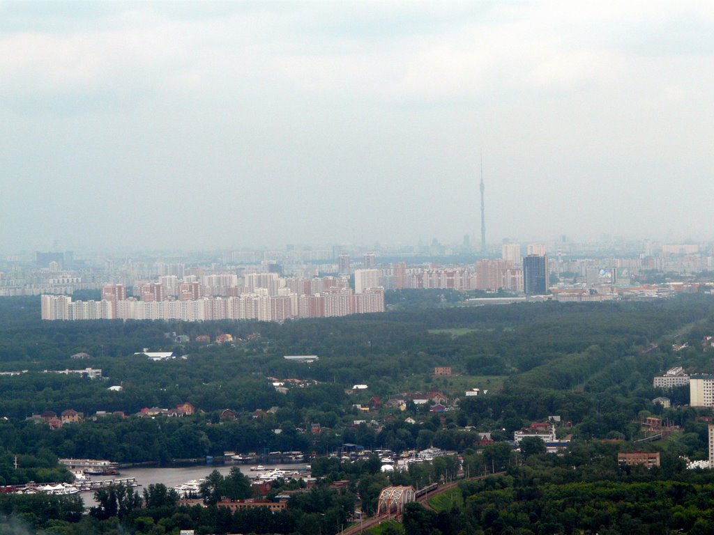06.06.2009