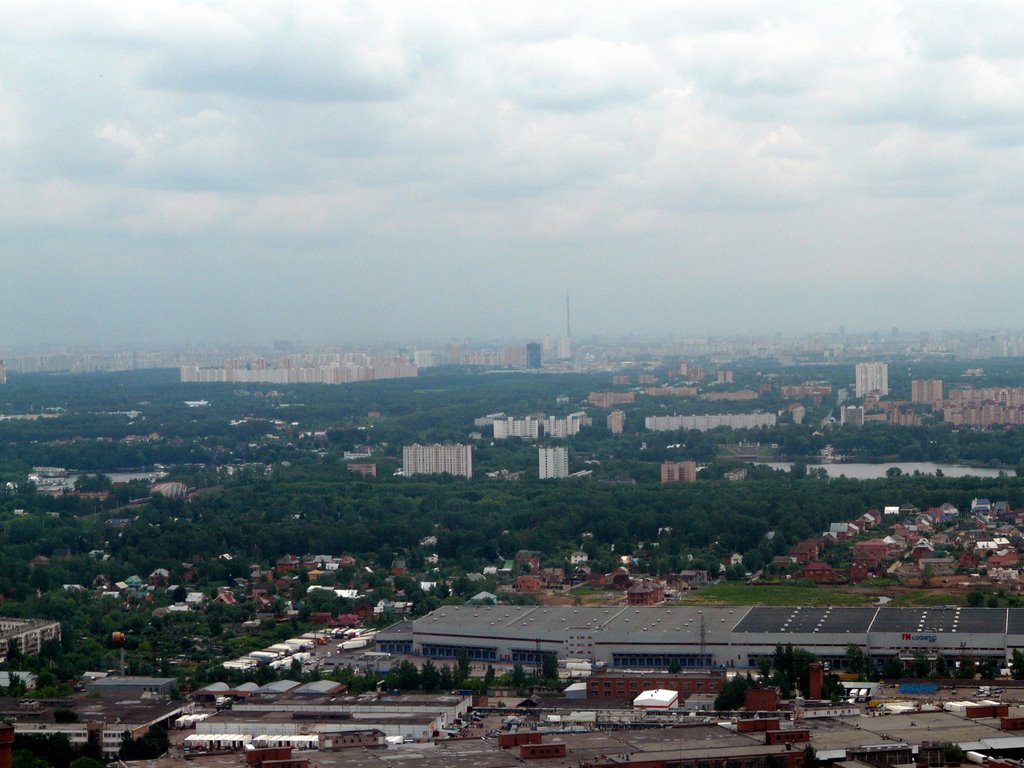 06.06.2009