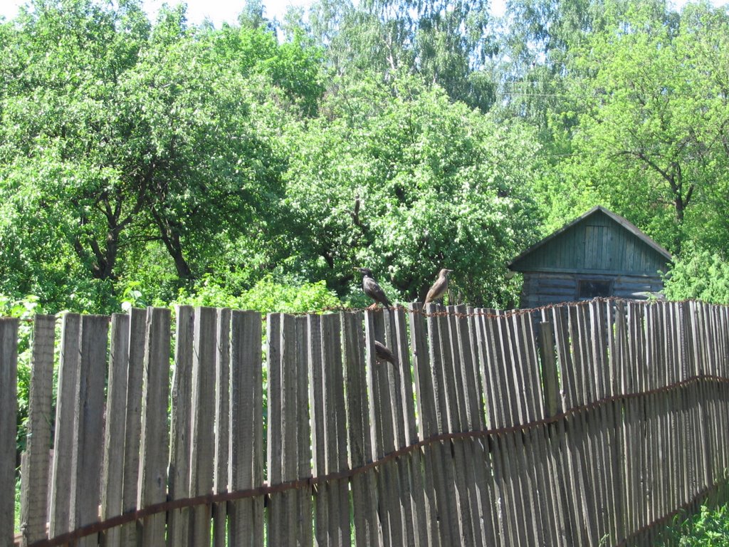 забор в хлебниково