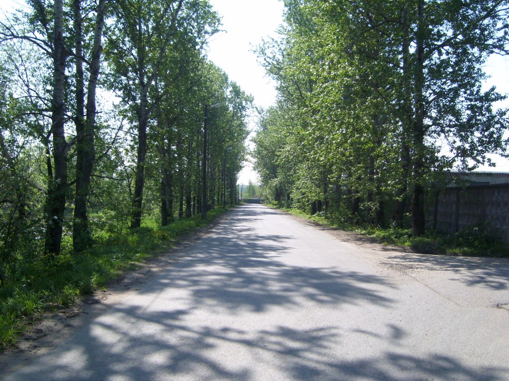 Дорога в Хлебниково