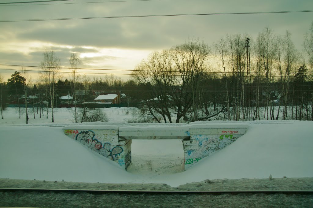 small railway bridge with graffiti