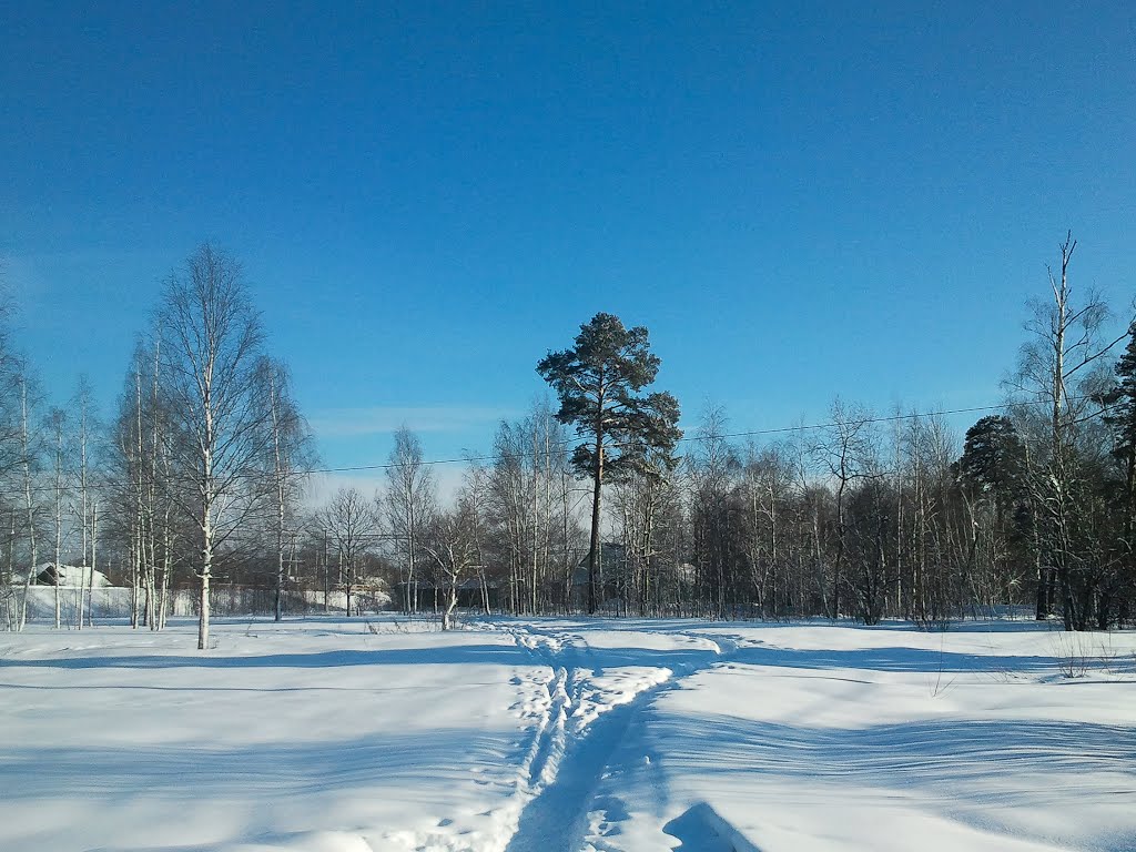 Шереметьево