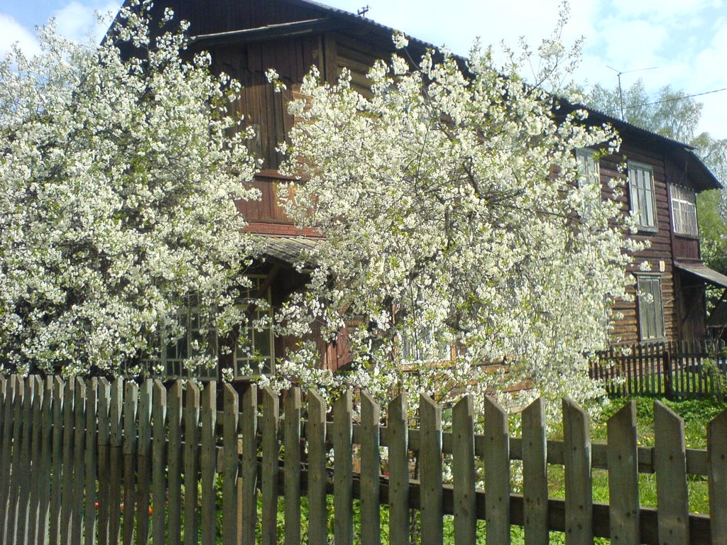 Воронок