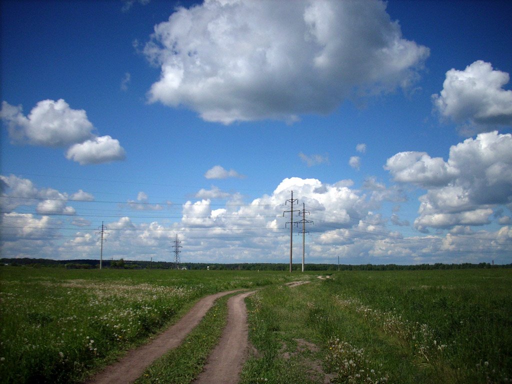 На поле
