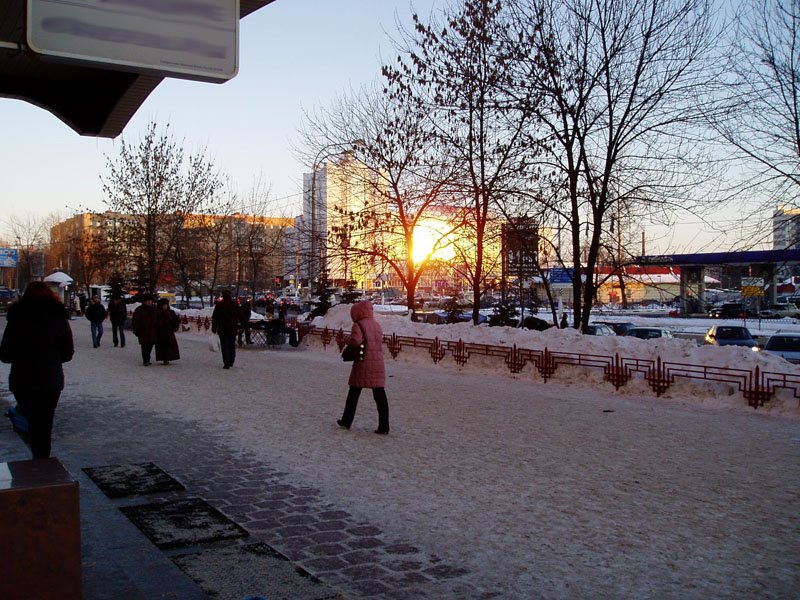 Schelkovo