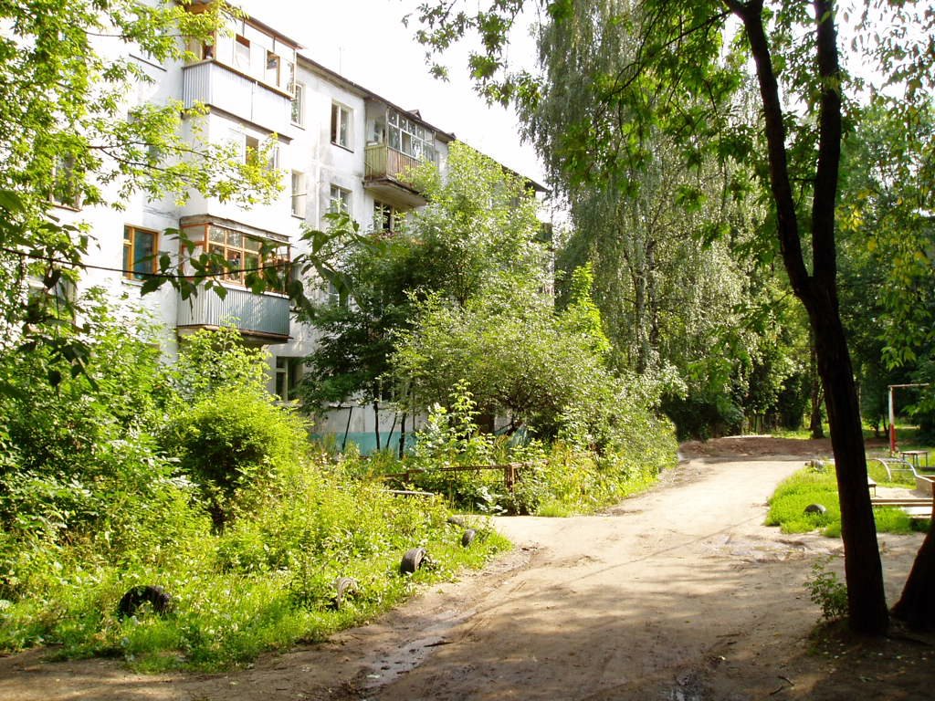 Parkovaya Street