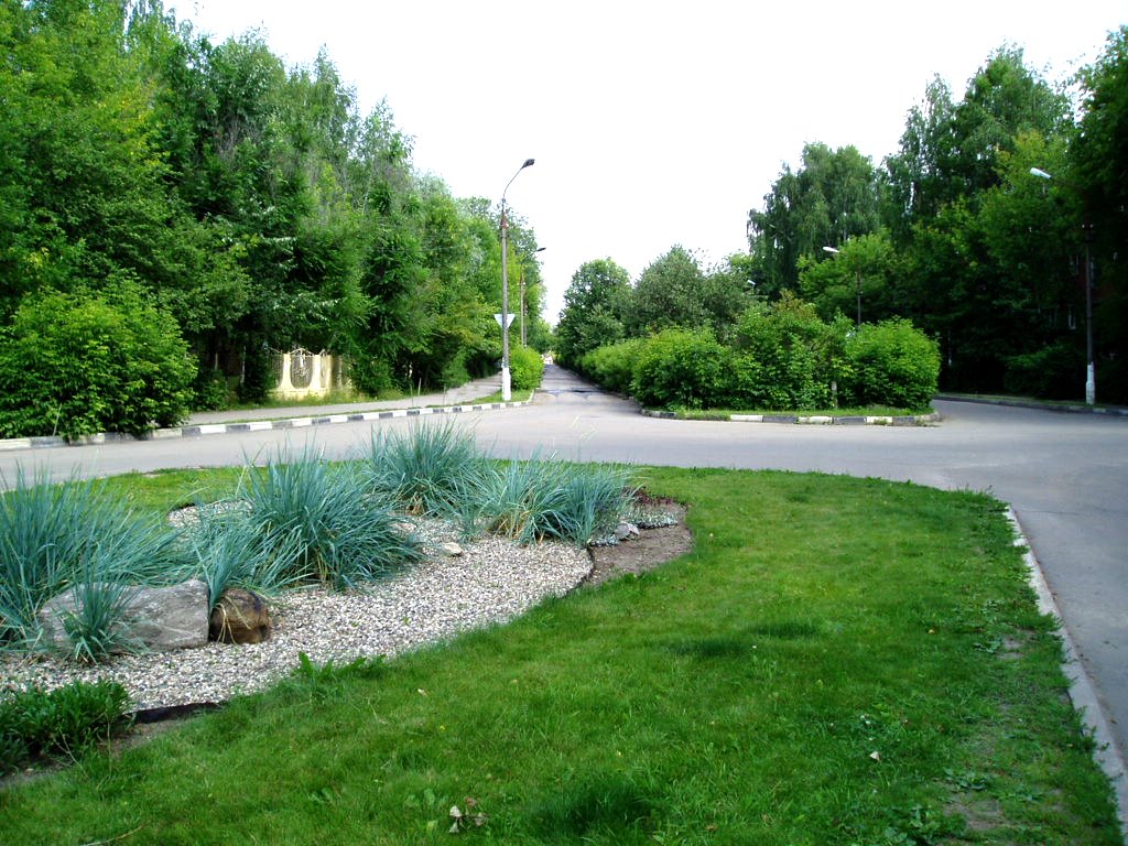 Parkovaya Street