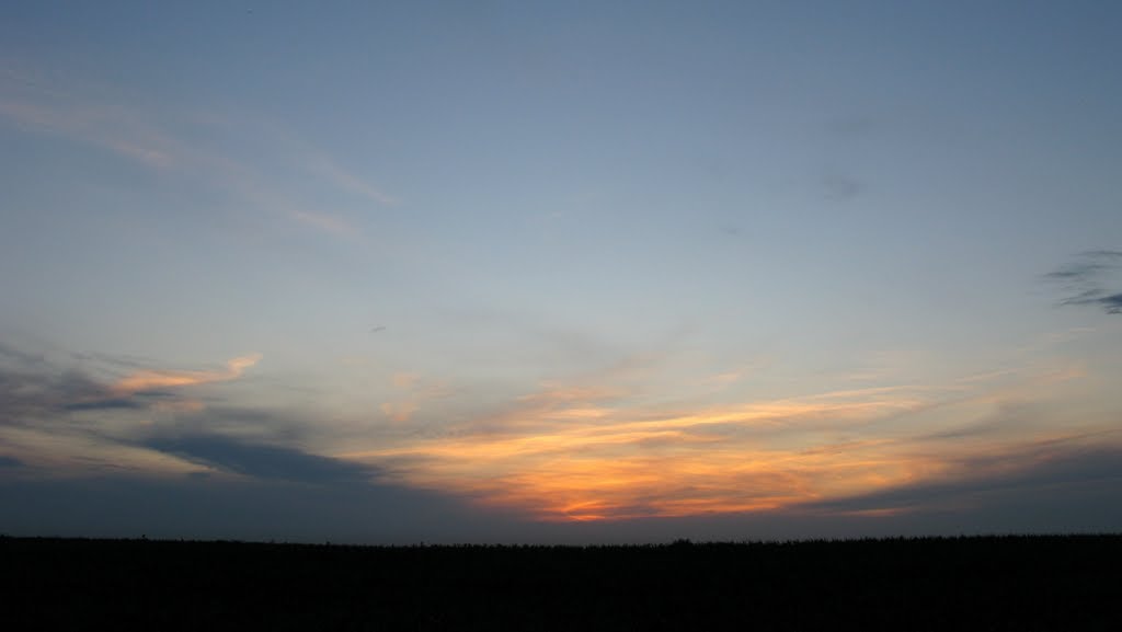 Evening field / Поле. Вечером.