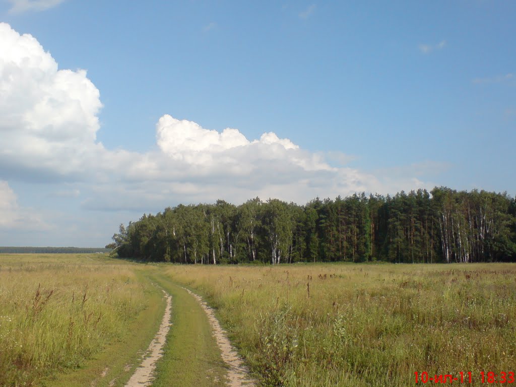 ::В поле у Александровки::