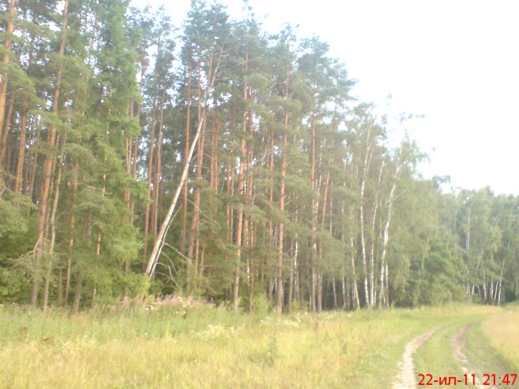 ::Опушка::