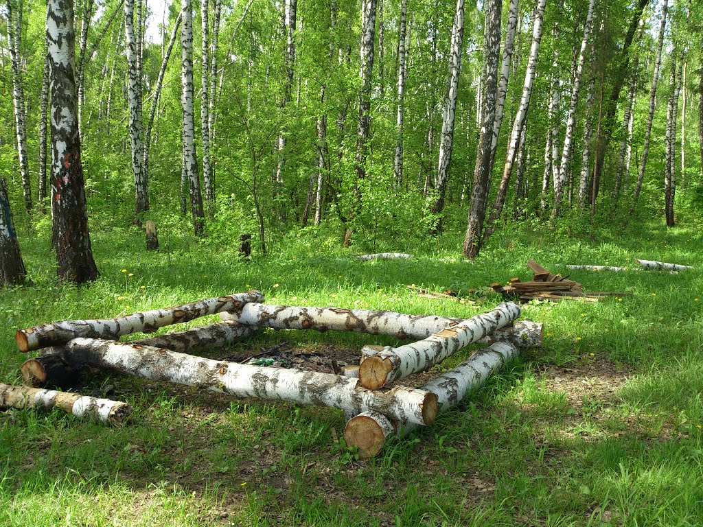 ::Пикник на опушке::
