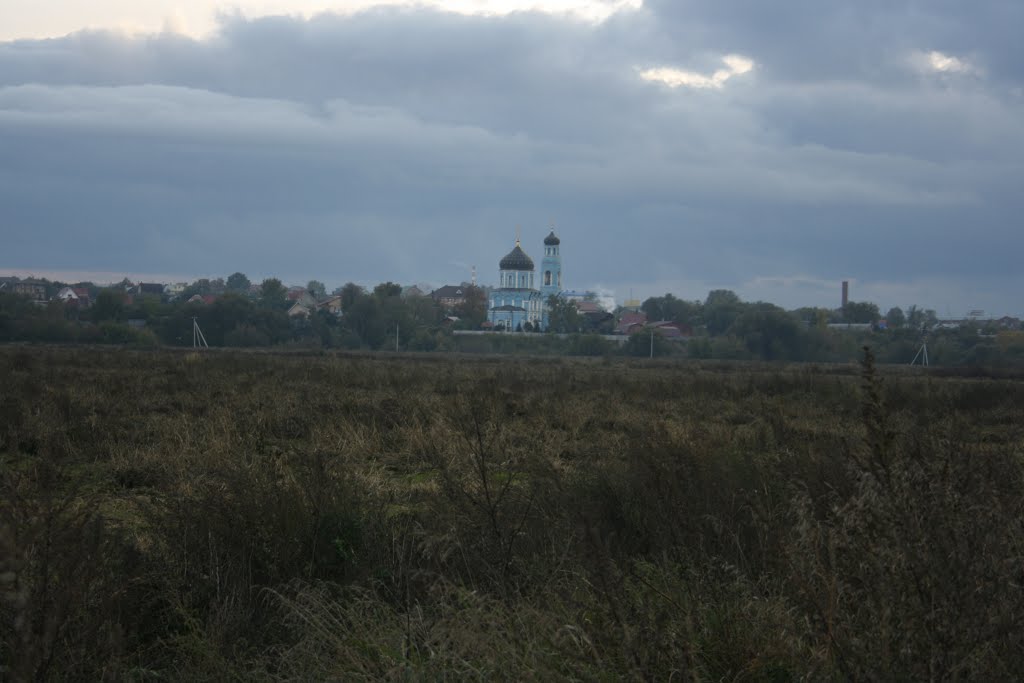 Вид на Покровскую церковь в селе Покров