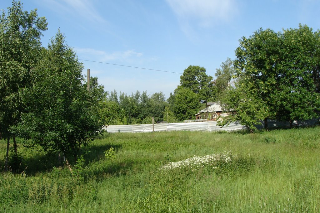 Электрогорск