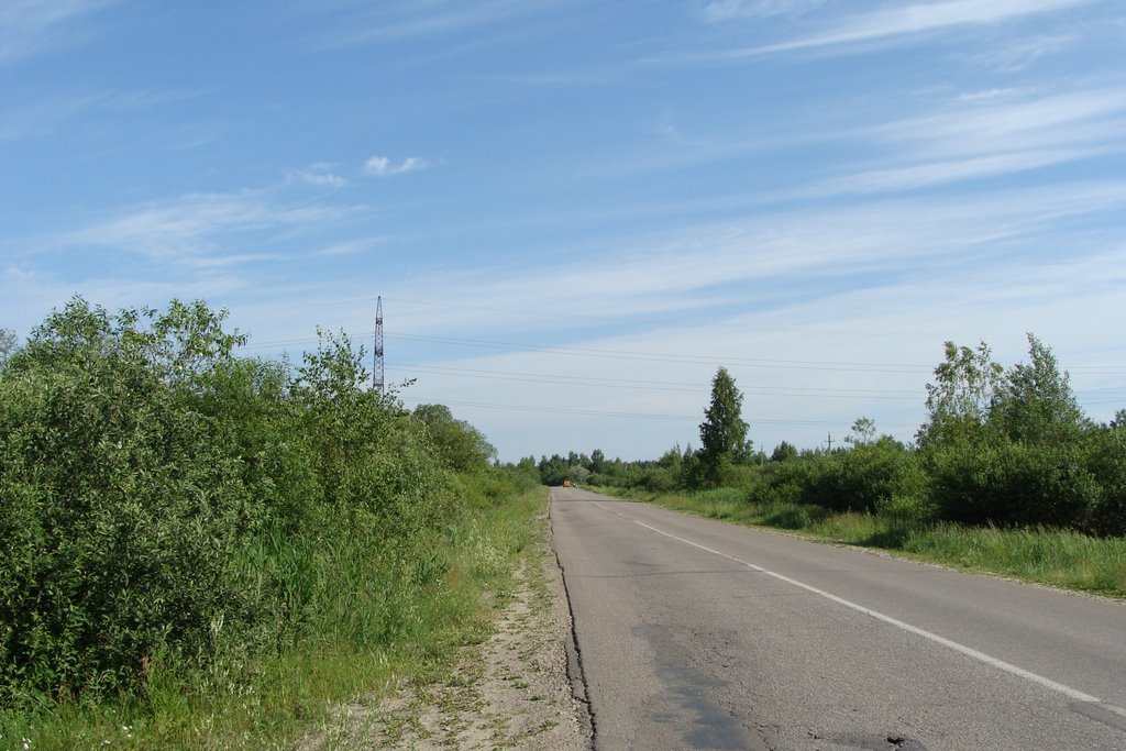 Электрогорск