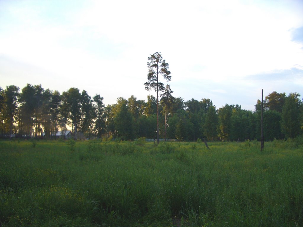 парк