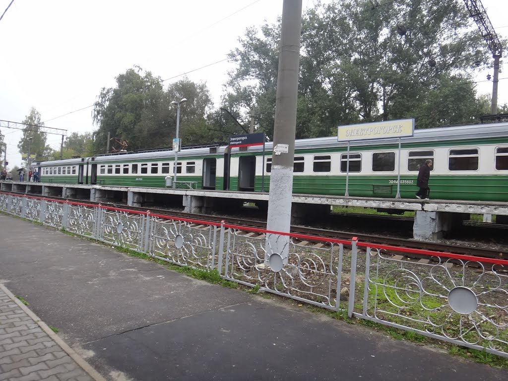 Станция Электрогорск