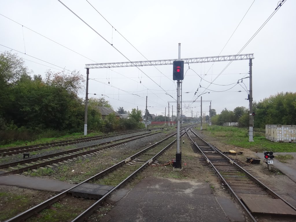 Станция Электрогорск, Нечётная горловина