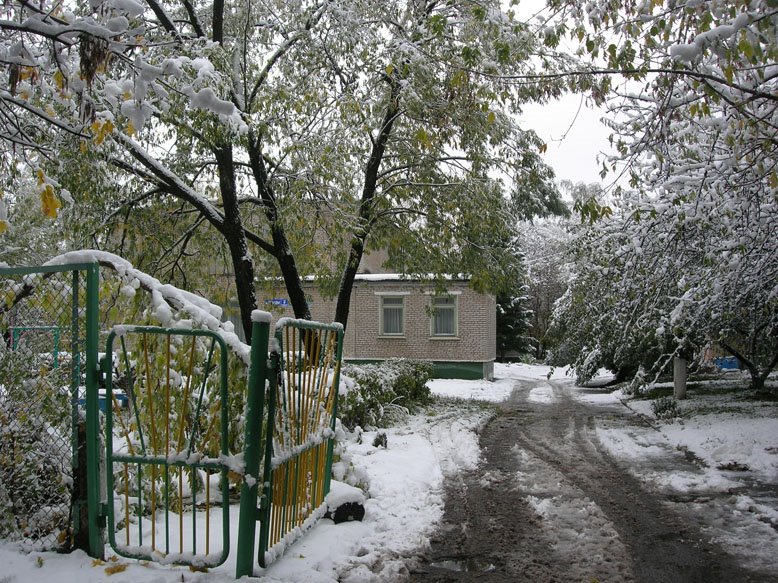 Snow in autumn