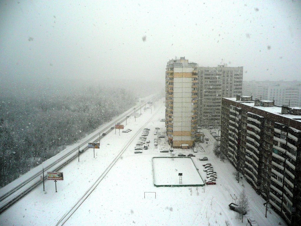 Ногинское шоссе