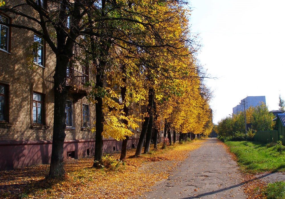 Золотая осень