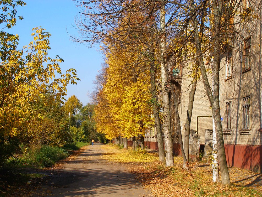 Золотая осень