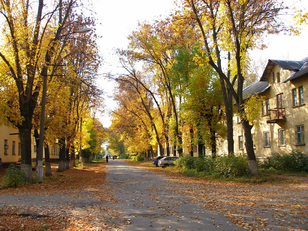 Золотая осень