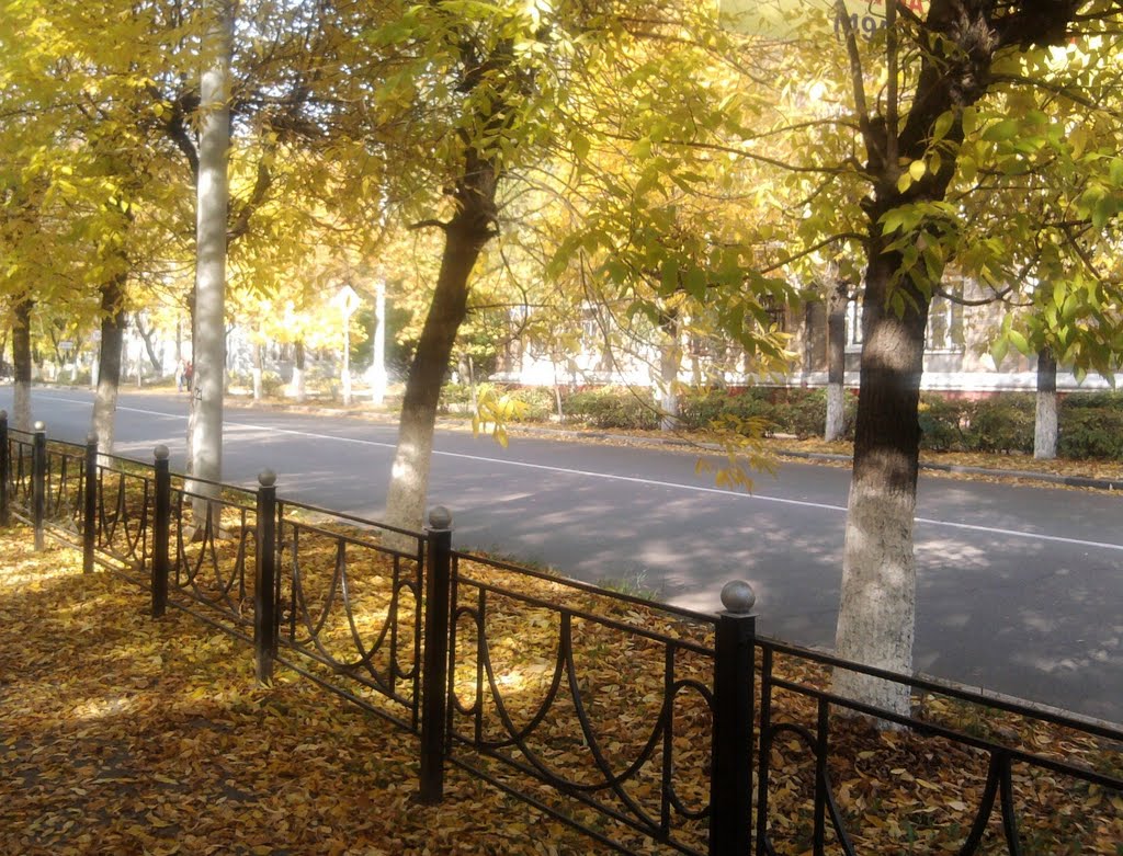 улица Николаева осенью
