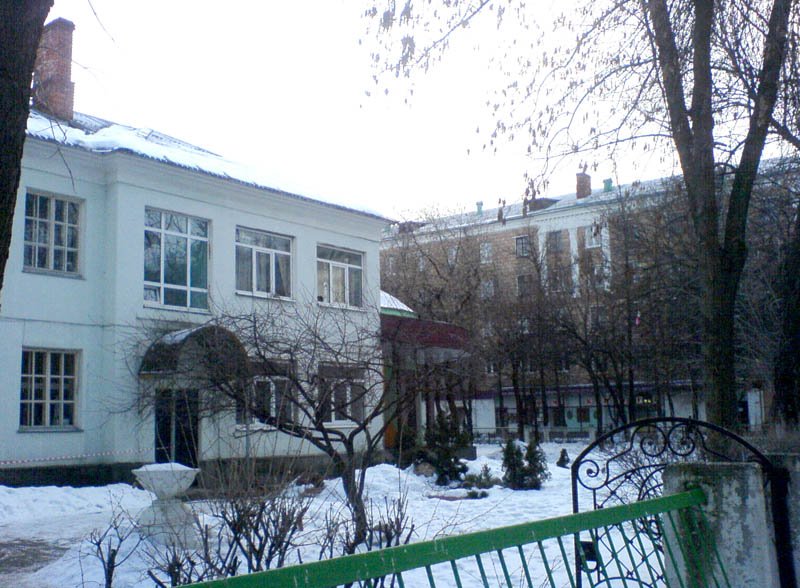 Школа Казанцева