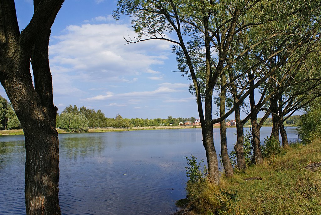 Каменский пруд