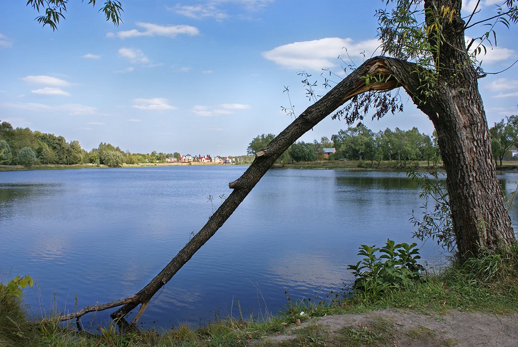 Сломанная судьба. Вид на Каменский пруд.