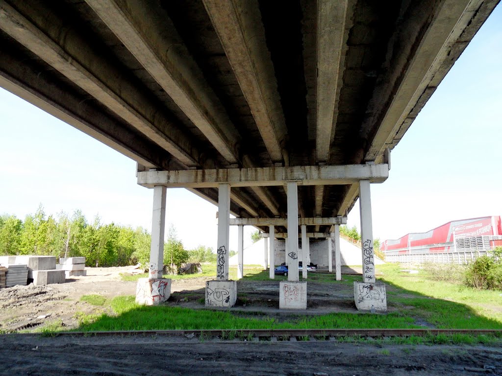 Под мостом