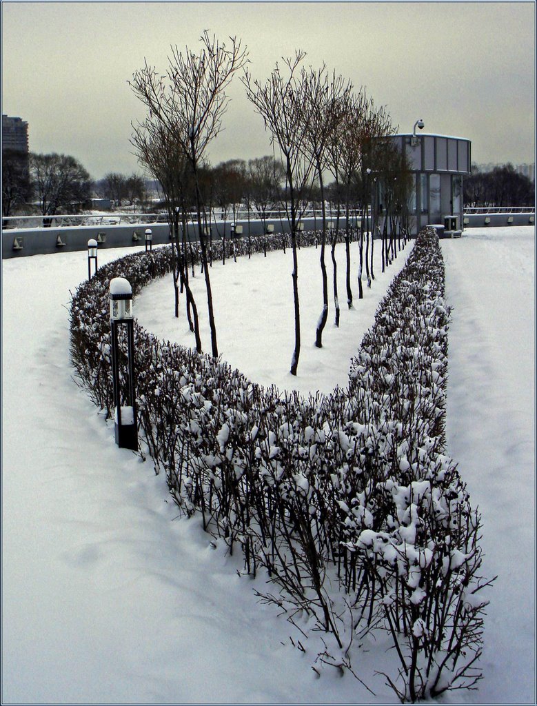 Зимняя геометрия / Winter geometry