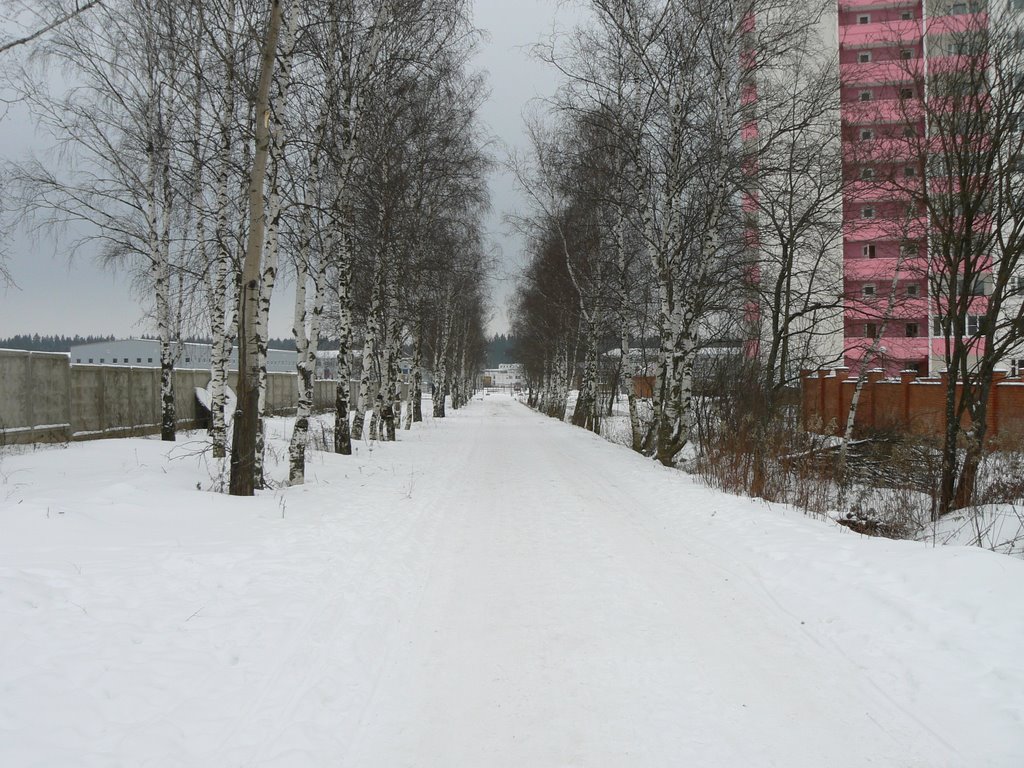 Город