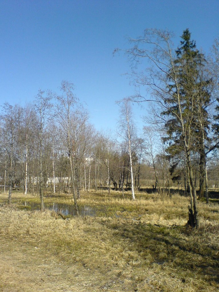 Весна в ГИЦИУ КС