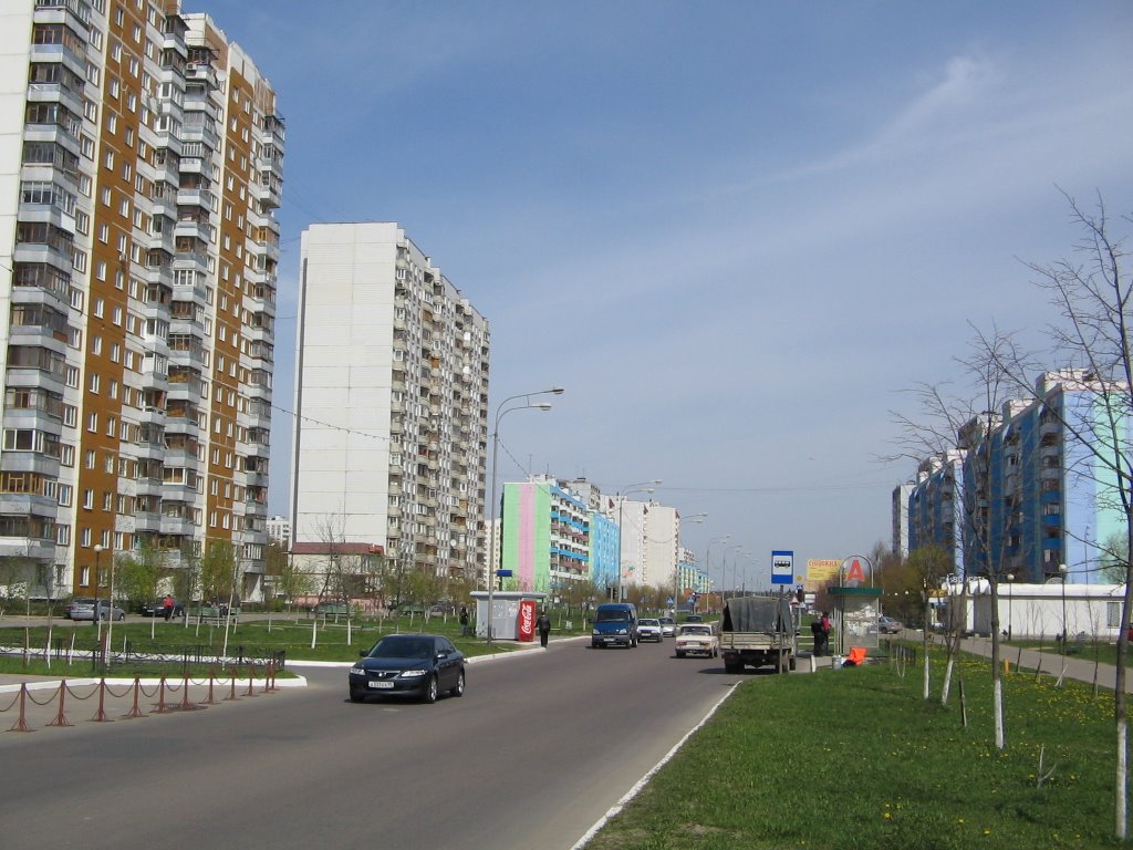 Улица Победы / Victory Street