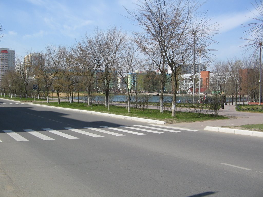 Пруд по улице Молодёжная / Pond along Molodezhnaya Street