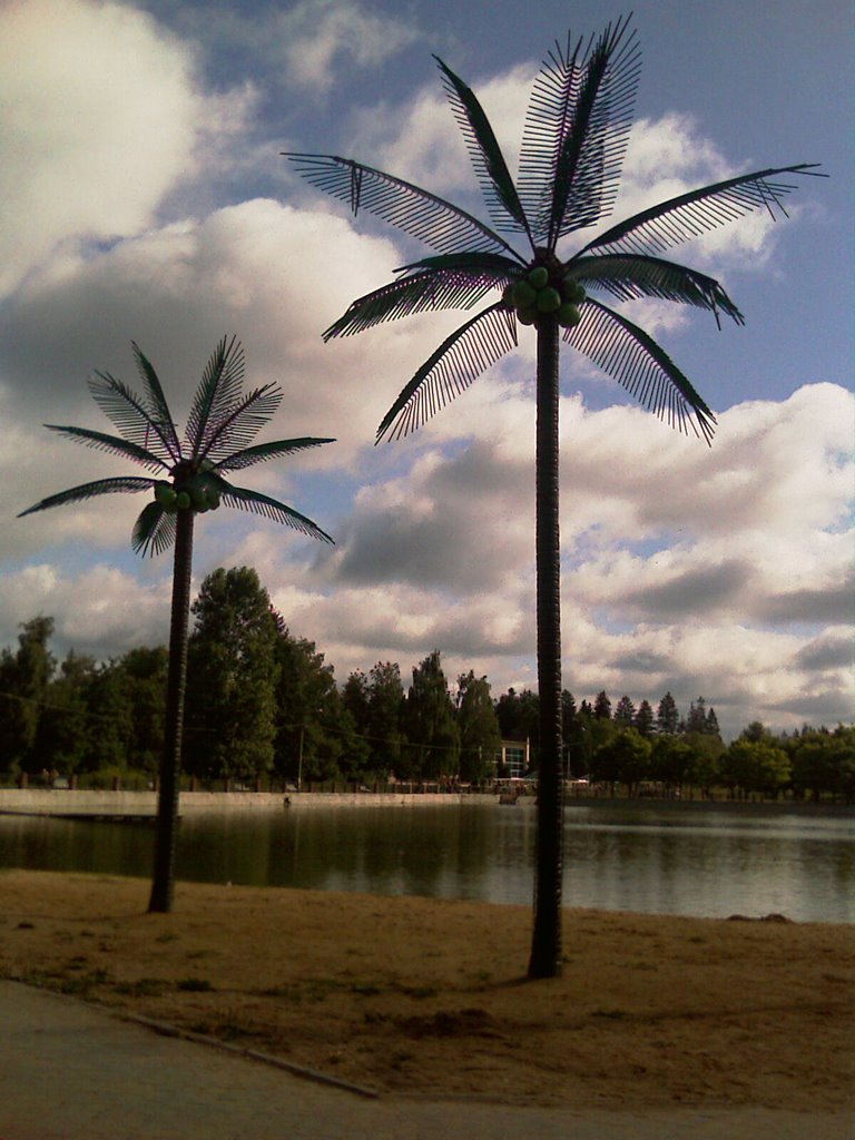 Пальмы у пруда / Palm trees at a Pond