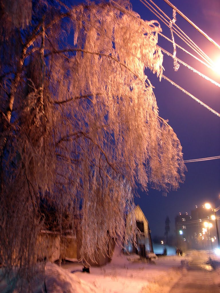 Desember2010