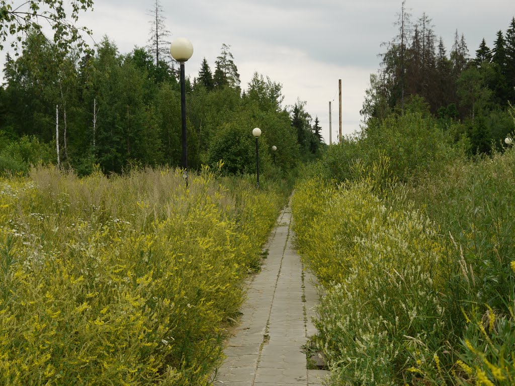 Краснознаменск (Krasnoznamensk)