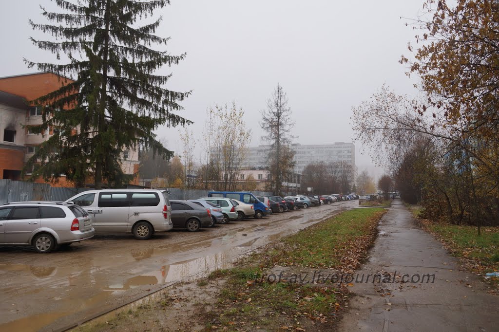 Краснознаменск, 7 мкр, ул. Связистов