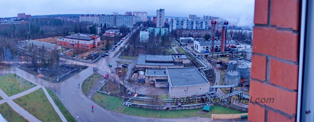 Краснознаменск, 7 мкр, ул. Связистов