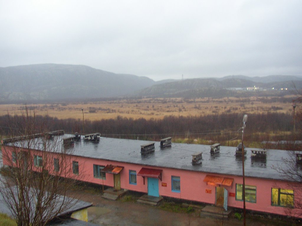 From hospital windows