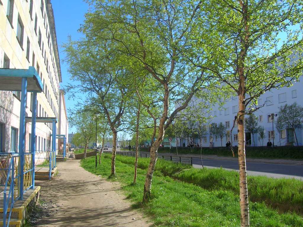 ул. Ленинского Комсомола