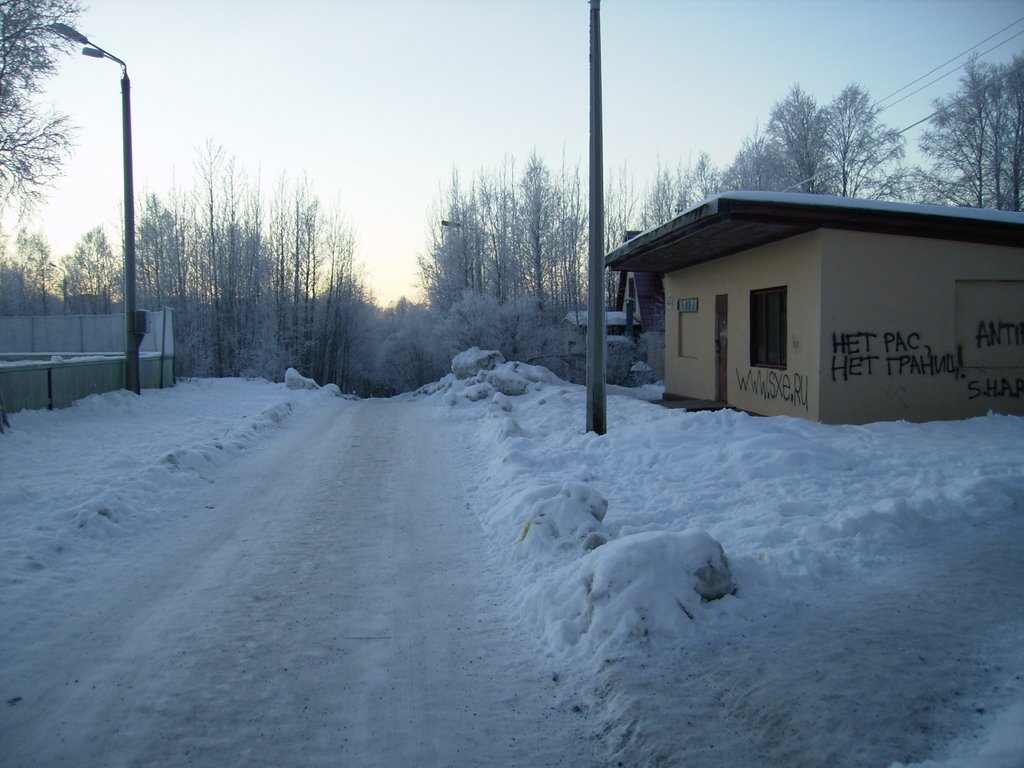 Около хоккейной коробки (Near a Hockey Court)