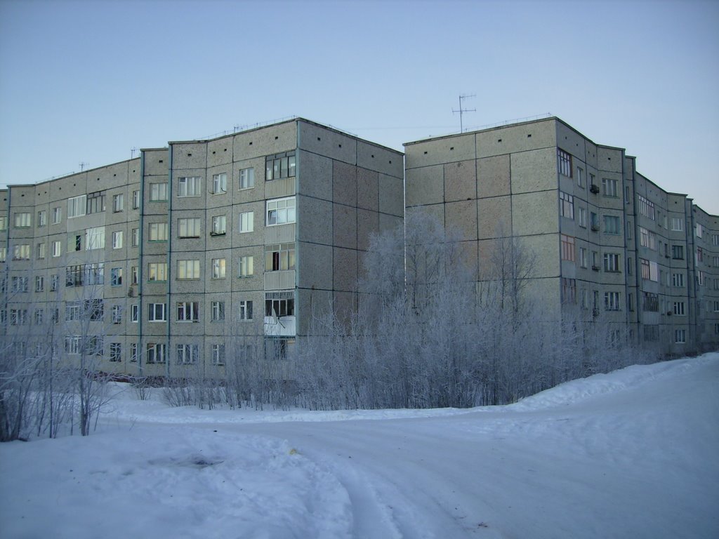 Дома по ул. Зиновьева (Houses on Zinovev str.)