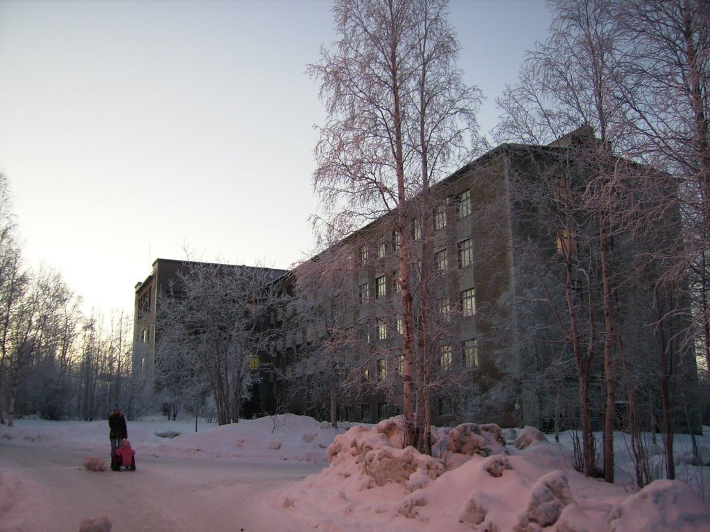 Полярный Геофизический Институт (Polar Geophysic Institute)