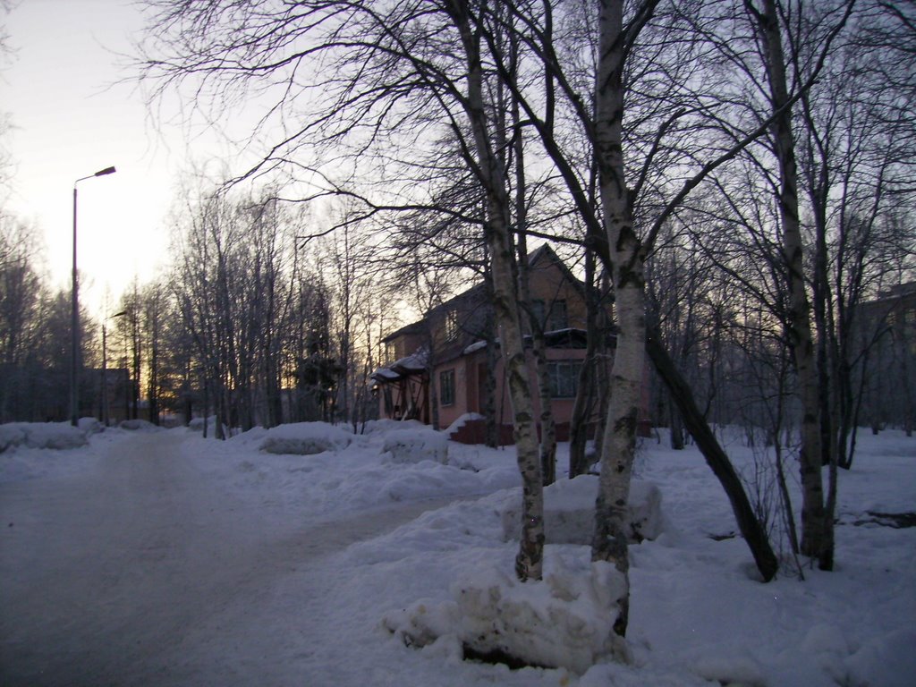 Академгородок (Science-Town)