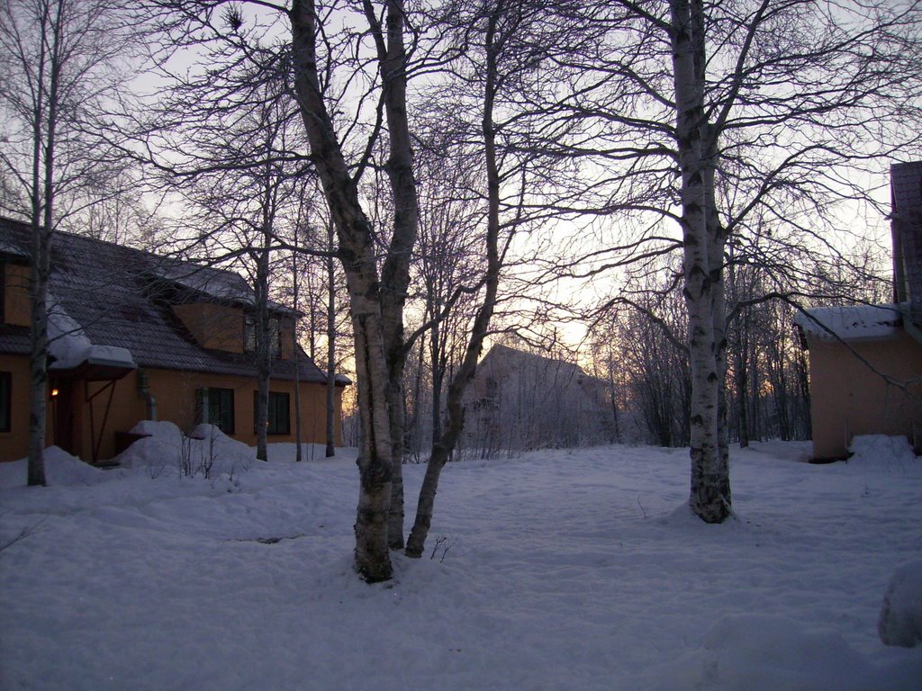 Академгородок (Science-Town)