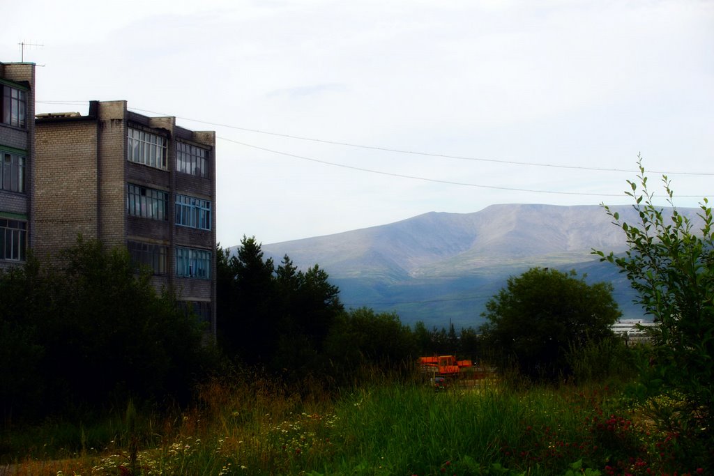 На улице Козлова