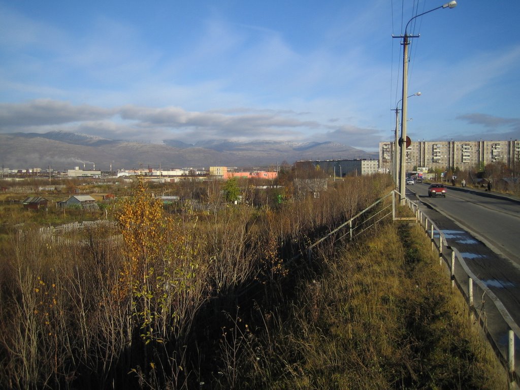 Апатиты